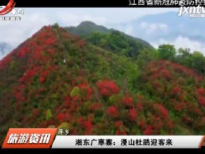 萍乡·湘东广寒寨：漫山杜鹃迎客来