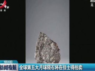 全球第五大月球陨石将在佳士得拍卖