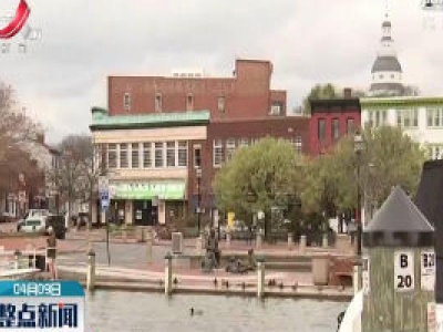 疫情或致鸟类在城市活动增多