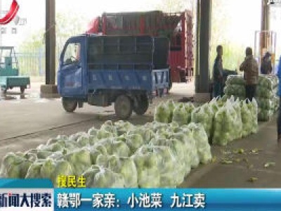 赣鄂一家亲：小池菜 九江卖