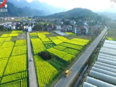 井冈山市获批国家生态综合补偿试点