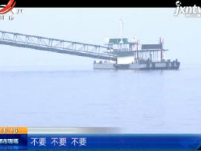 九江湖口：20余头江豚出没 长江里少见的一幕