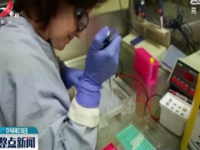 澳国家科学机构宣布开始新冠病毒候选疫苗临床前试验