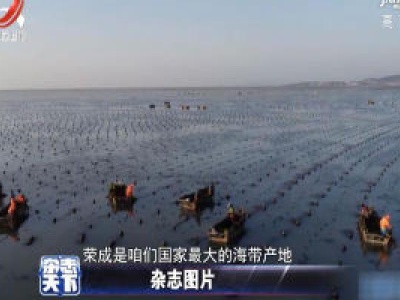 杂志天下20200403