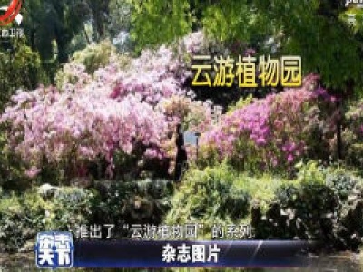 武汉植物园 推出“云游植物园”