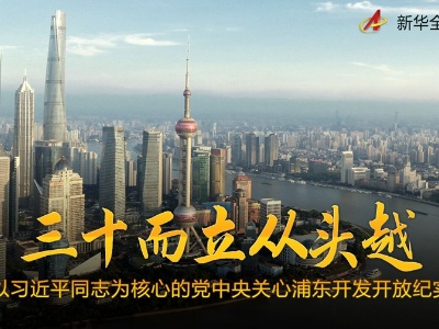 三十而立从头越——以习近平同志为核心的党中央关心浦东开发开放纪实
