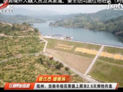 江西旅游报道20200413