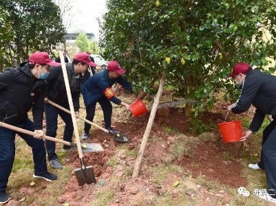 植树播绿 从“新”出发