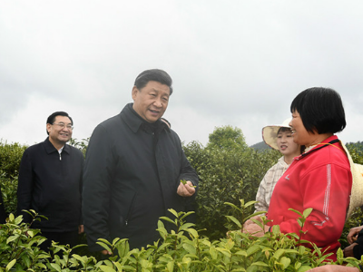 战“疫”每日观察丨从安吉到秦岭，有一种定力很鲜明