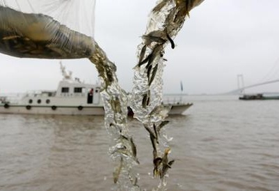 长江流域332个水生生物保护区实现全面禁捕