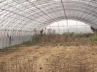 【聚焦“放管服”改革 曝光“怕慢假庸散” ·后续】吉安青原区：撂荒了两年的土地得以复耕 全面排查农田使用情况