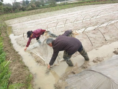 贵溪市泗沥镇：春耕春种，贫困户在行动