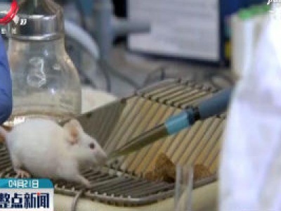 生酮饮食可能对哮喘患者有益