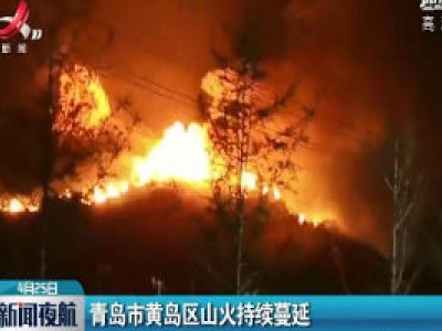 青岛市黄岛区山火持续蔓延