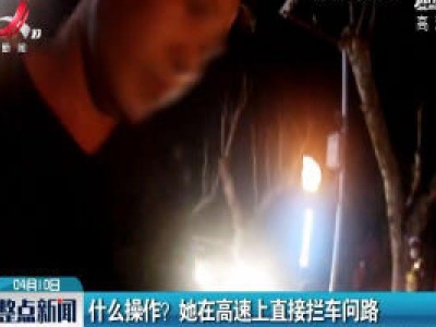 井岗山：什么操作？她在高速上直接拦车问路