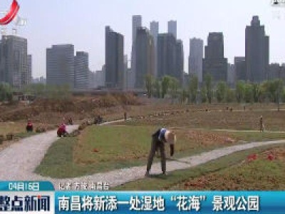 南昌将新添一处湿地 “花海” 景观公园