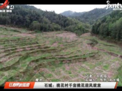 江西旅游报道20200408