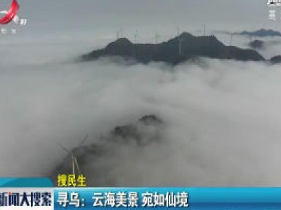 【搜民生】寻乌：云海美景 宛如仙境