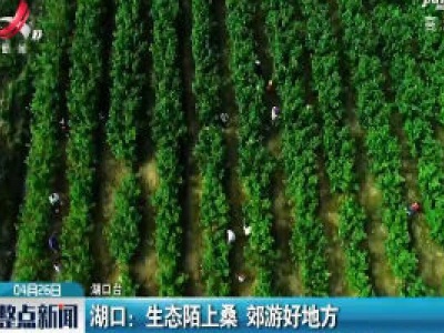 湖口：生态陌上桑 郊游好地方