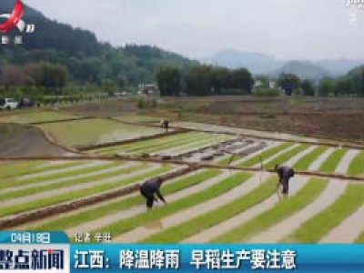 江西：降温降雨 早稻生产要注意