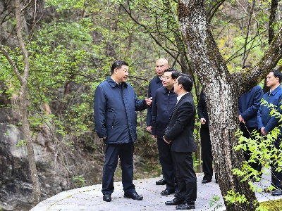 习近平在陕西考察时强调 扎实做好“六稳”工作落实“六保”任务 奋力谱写陕西新时代追赶超越新篇章