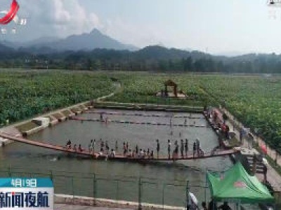 新闻夜航20200419
