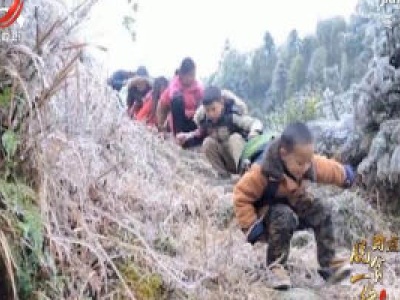社会传真20200428 龙溪村的三条“路”——脱贫一线蹲点记