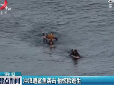 澳大利亚：冲浪遭鲨鱼袭击 他惊险逃生