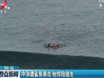 冲浪遭鲨鱼袭击 他惊险逃生