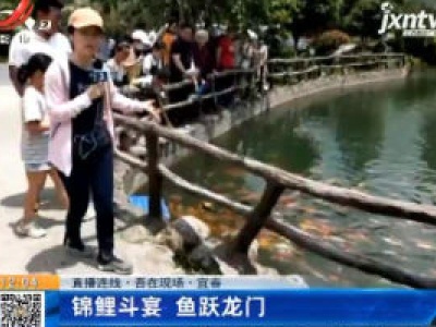 【直播连线·吾在现场】宜春：锦鲤斗宴 鱼跃龙门
