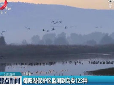 上饶：鄱阳湖保护区监测到鸟类123种