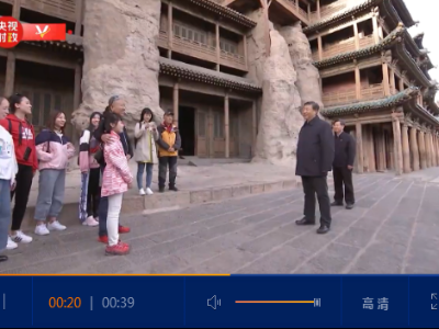 独家视频丨习近平来到云冈石窟