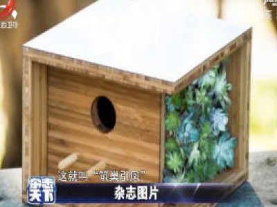 “筑巢引凤”