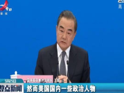 【关注全国两会】王毅：历史应该由事实和真相来书写