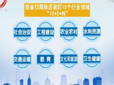 靶向整治 我省扫黑除恶紧盯15个行业领域