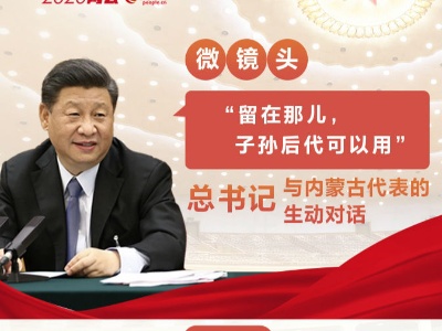 微镜头：“留在那儿，子孙后代可以用” ——总书记与内蒙古代表的生动对话