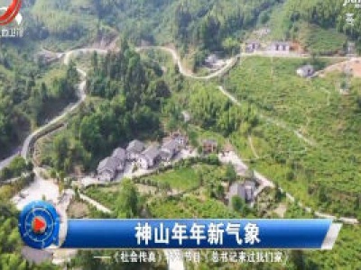 社会传真20200519 神山年年新气象——《社会传真》特别节目《总书记来过我们家》