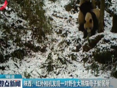 整点新闻20200501 10:00