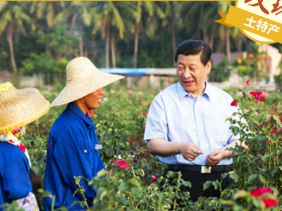 在田间地头 习近平提到过的那些土特产
