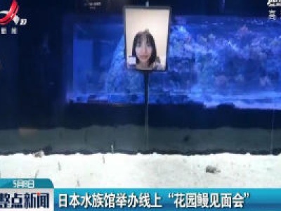 日本水族馆举办线上 “花园鳗见面会”