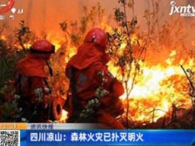 四川凉山：森林火灾已扑灭明火