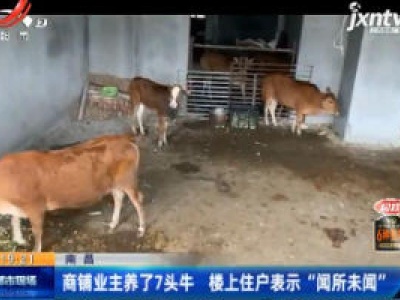 南昌：商铺业主养了7头牛 楼上住户表示“闻所未闻”
