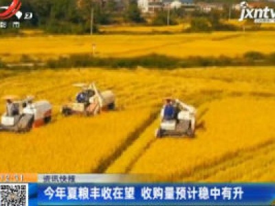 2020年夏粮丰收在望 收购量预计稳中有升