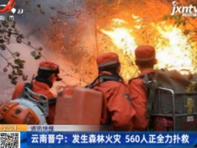 云南晋宁：发生森林火灾 560人正全力扑救