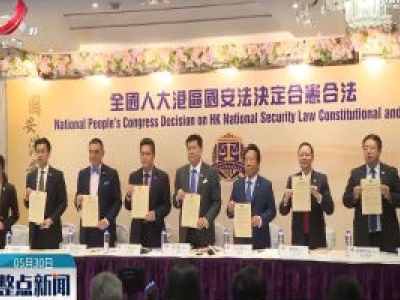 香港法律界：全国人大涉港决定合理合法