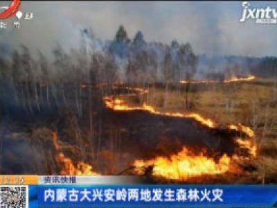 内蒙古大兴安岭两地发生森林火灾