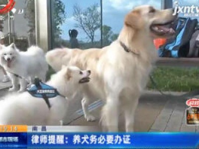 南昌东湖：小区租客养烈犬 居民感觉“心慌慌
