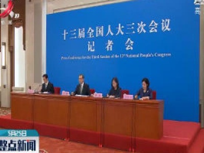 【关注全国两会】王毅：向各国医护工作者致以崇高敬意