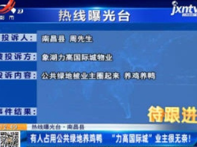 【热线曝光台】南昌县：有人占用公共绿地养鸡鸭 “力高国际城”业主很无奈!