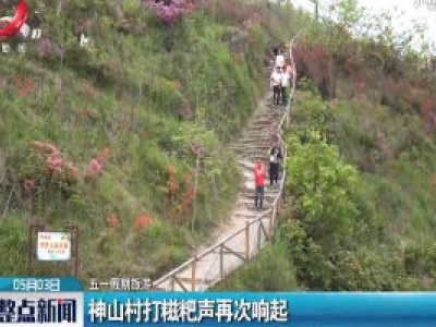 【五一假期旅游】神山村打糍粑声再次响起
